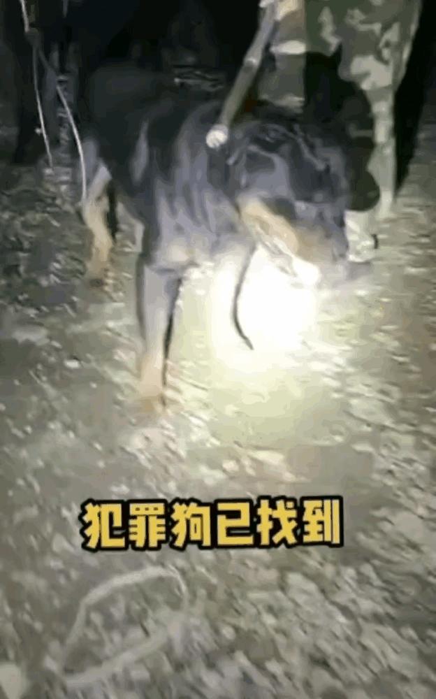娱乐生活 第22页