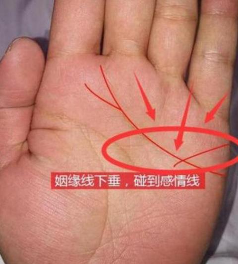 心手相牵 人文交流之花璀璨绽放心手相牵，人文交流之花璀璨绽放